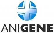 Anigene